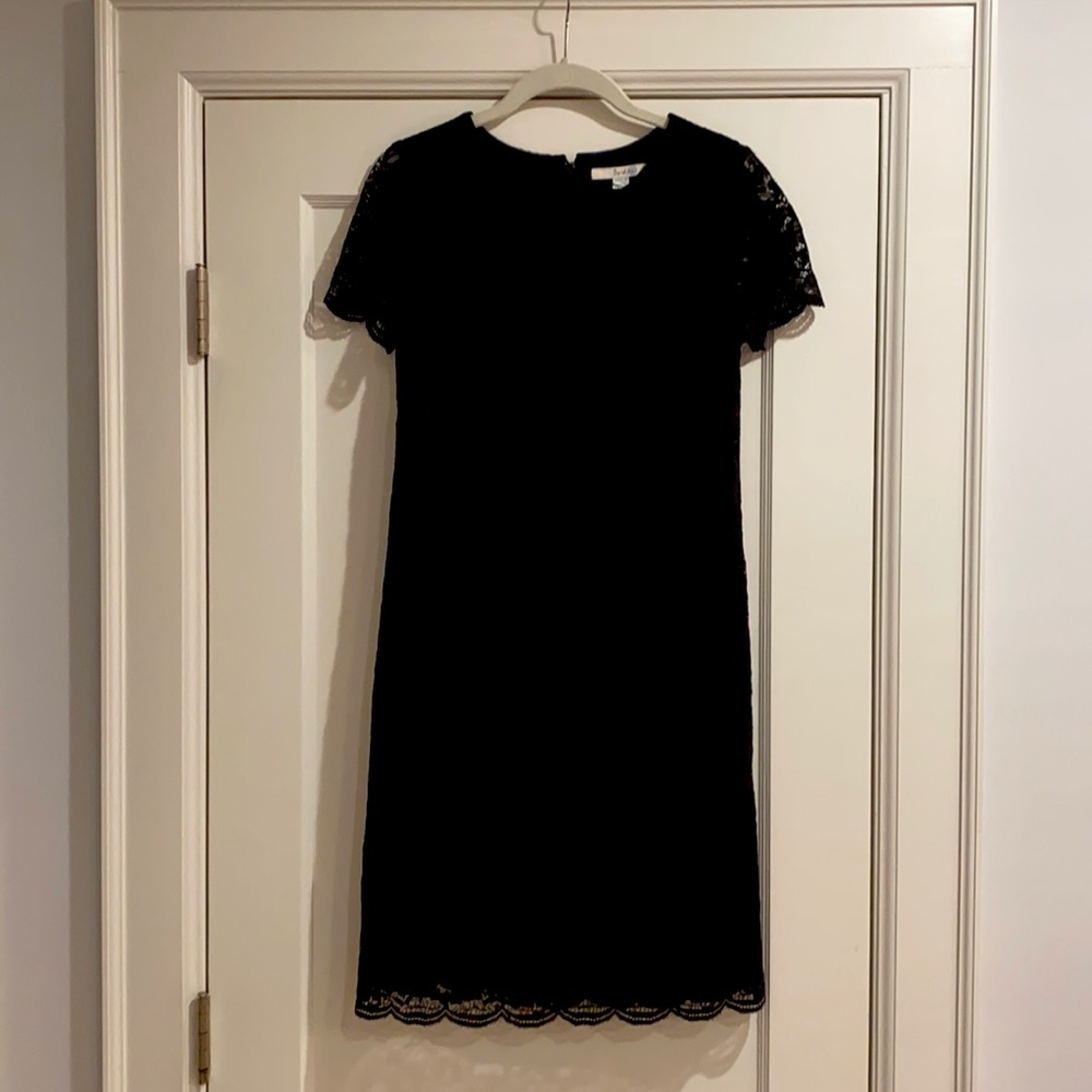 Black, lace, below the knee cocktail dress.